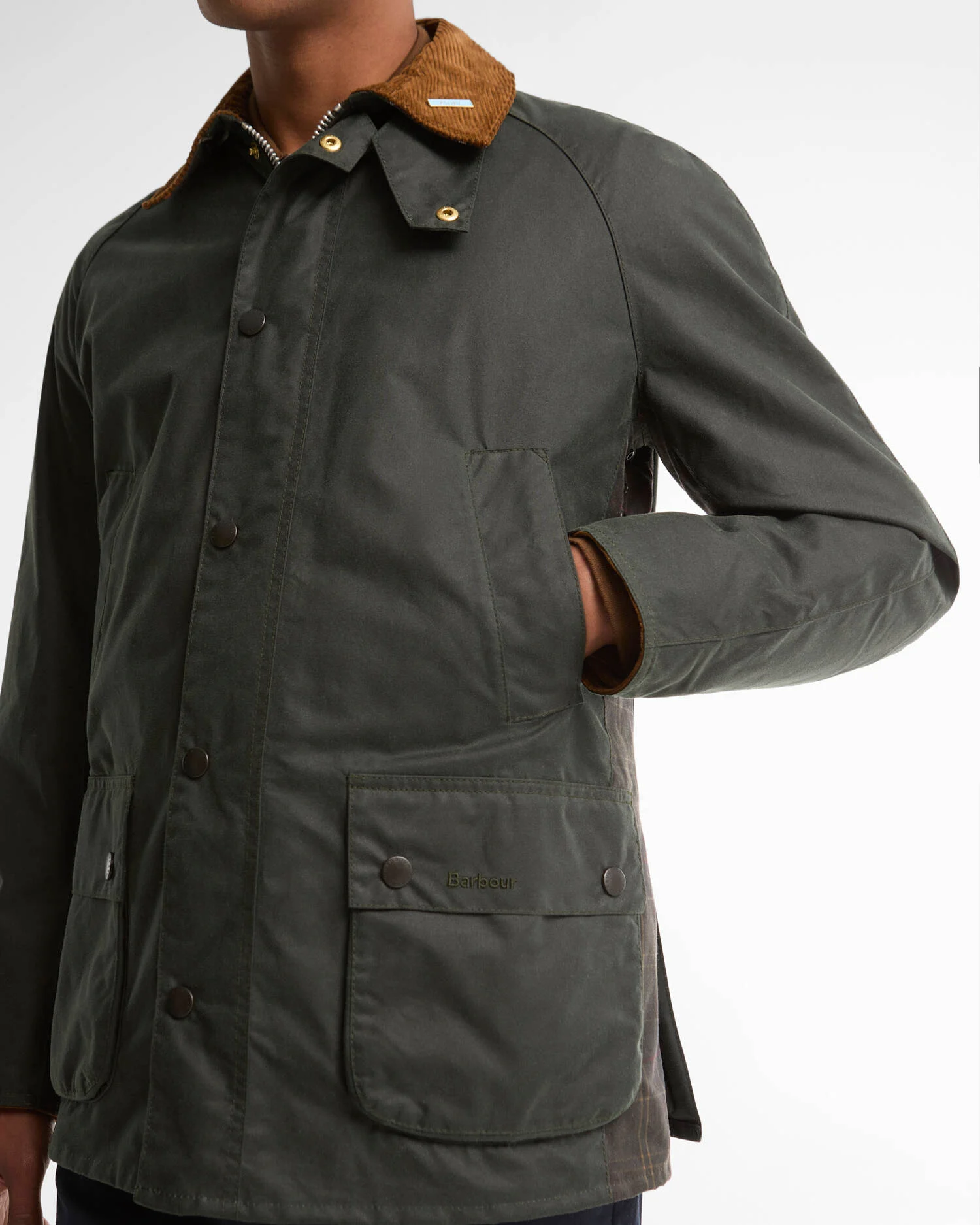 Barbour Icons Ashby - Sage - Bild 5
