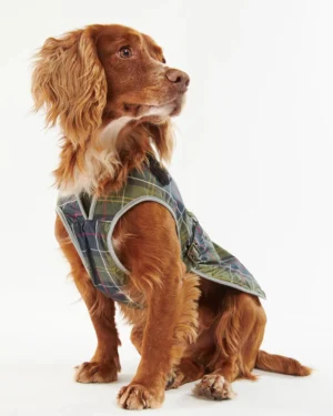 Alternative view of Barbour Waterproof Tartan Dog Coat - Classic Tartan