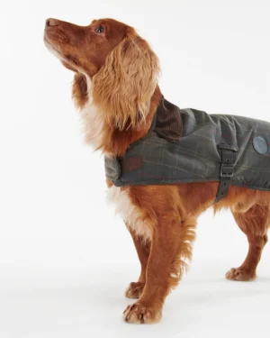 Alternative view of Barbour Tar Wax Dog Coat - Classic Tartan
